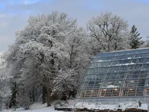 Jardin botanique de l'université de Turku