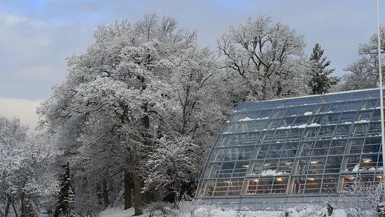 Turku University Botanical Garden