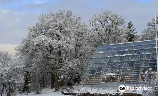 Jardin botanique de l'université de Turku