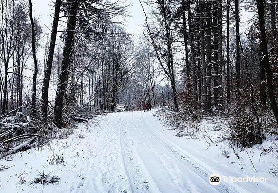 Bukk National Park