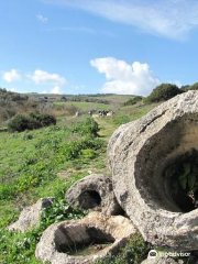 Foresta pietrificata di CARRUCANA a Martis