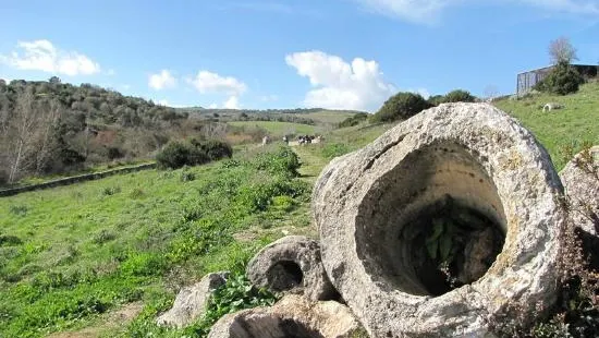 Foresta pietrificata di CARRUCANA a Martis