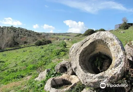 Foresta pietrificata di CARRUCANA a Martis