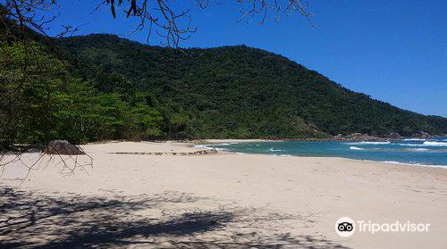 Antigos E Antiguinhos Beach