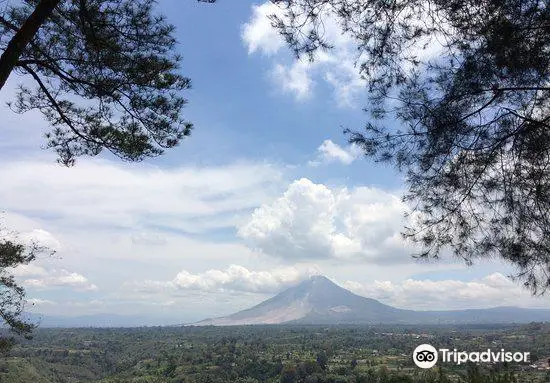 Gundaling Hill Top