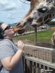 Safari North Wildlife Park