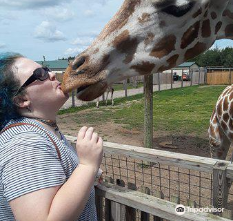 Safari North Wildlife Park