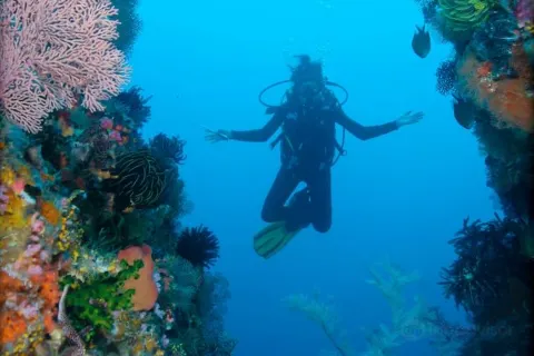 Scuba Diving in Komodo