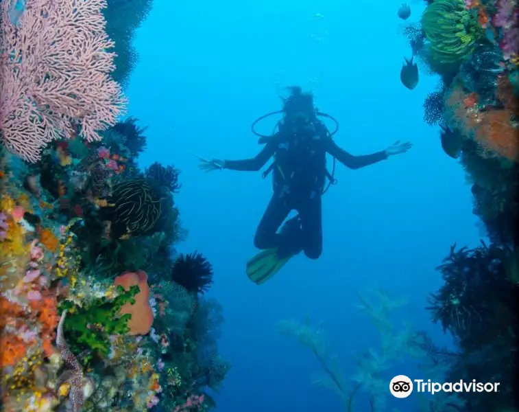 Komodo Dive Center