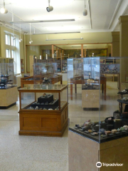 Miller Museum of Geology