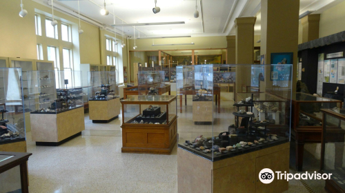 The Miller Museum Of Geology