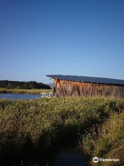 Tamar Island Wetlands Centre