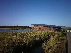 テイマー・アイランド・ウェットランズ・センター