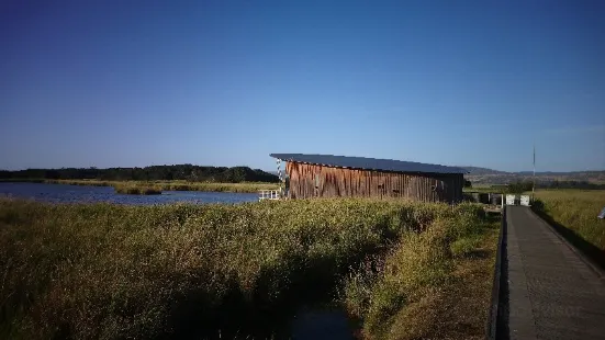 塔瑪島濕地