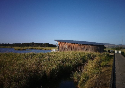 Tamar Island Wetlands Centre