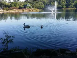 Lake Ella & Fred Drake Park