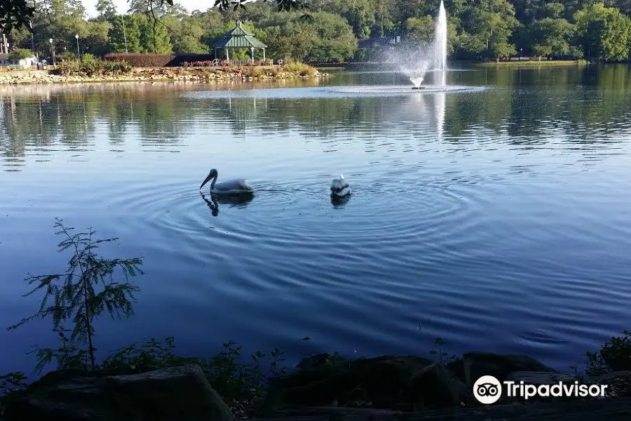 Lake Ella Park