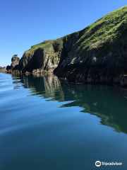 Cape Clear Island