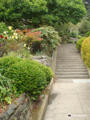 Vulcan Steps