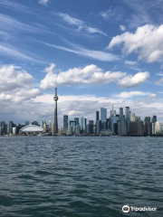 Sailing & Powerboating at Harbourfront Centre