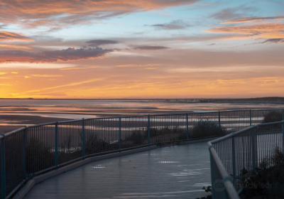 Cooke Point Viewing Platform