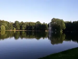The Potulicki Park