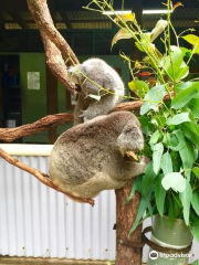 ZOO TO YOU HQ - Discovery Centre