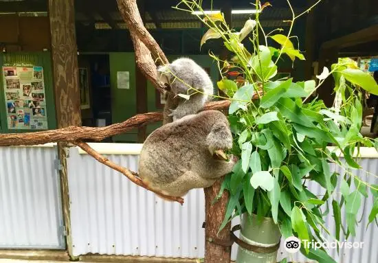 ZOO TO YOU HQ - Discovery Centre