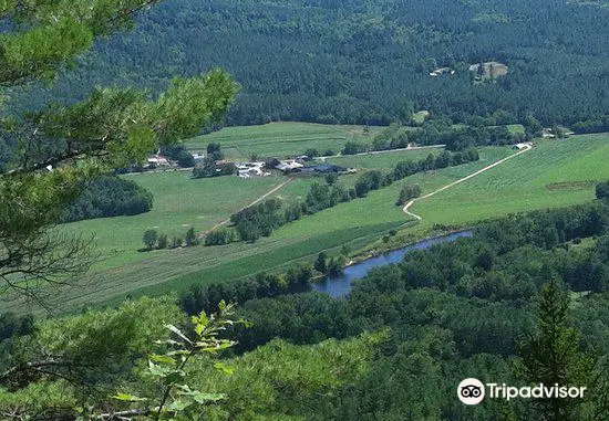 Mount Will Walking Trail