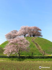 Sakitama Kofun Ancient Tomb Park