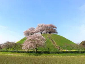 Sakitama Kofun Ancient Tomb Park