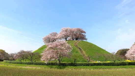 Sakitama Kofun Ancient Tomb Park