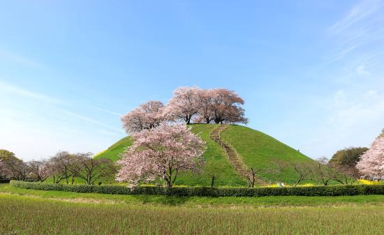 Sakitama Kofun Ancient Tomb Park