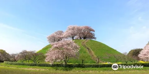 Sakitama Kofun Park
