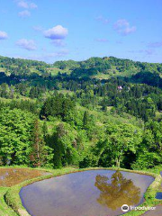 Gimyo Rice Terraces