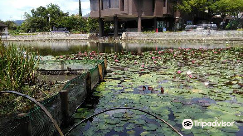 山田池公園管理事務所