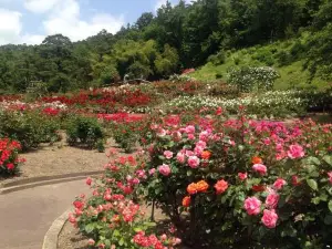 Higashizawa Rose Garden