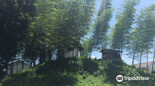 Prefecture designated historic site Jizo tomb