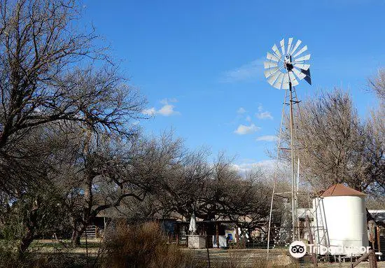 Patagonia-Sonoita Creek Preserve