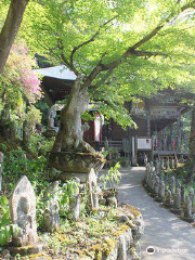 Kokokusan-Kinshoji Temple - No. 4 Pilgrimage