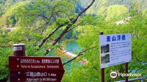 Mugiyama Floating Bridge