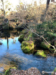 Deguchi Pond