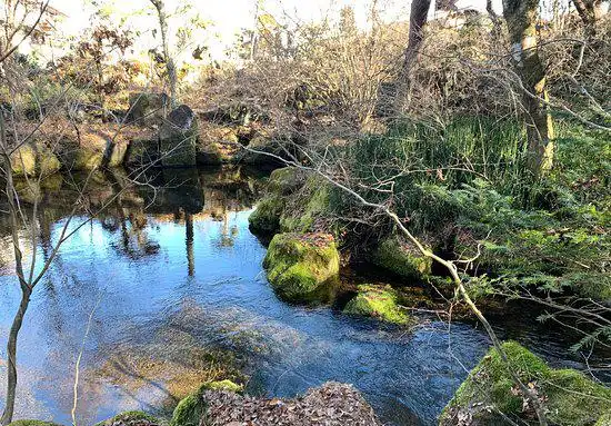 Hotels near Deguchi-ike Pond