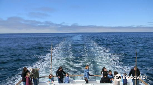 LA Waterfront Cruises