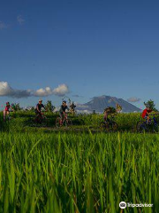 Bali Eco Cycling
