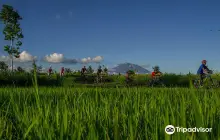 Bali Eco Cycling