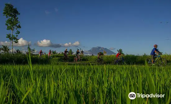 Bali Eco Cycling