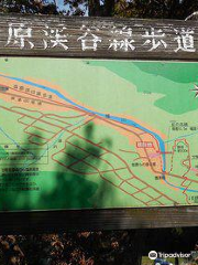 Shiobara Ravine Trail