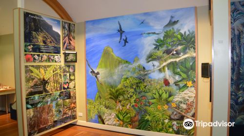 Lord Howe Island Museum