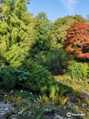 Old Botanical Garden of Göttingen University